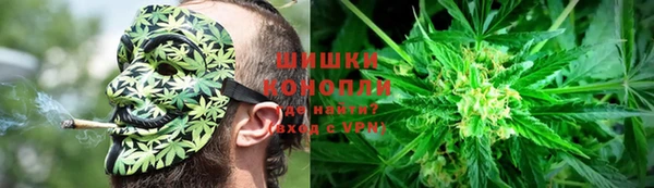 гашик Алексеевка