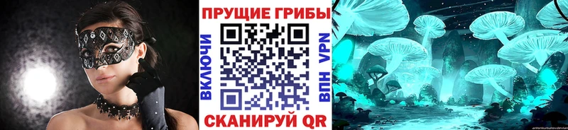 Псилоцибиновые грибы MAGIC MUSHROOMS Северская
